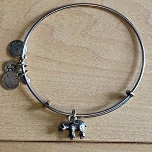 Alex and Ani Boston Bruins Bear Silver Bracelet